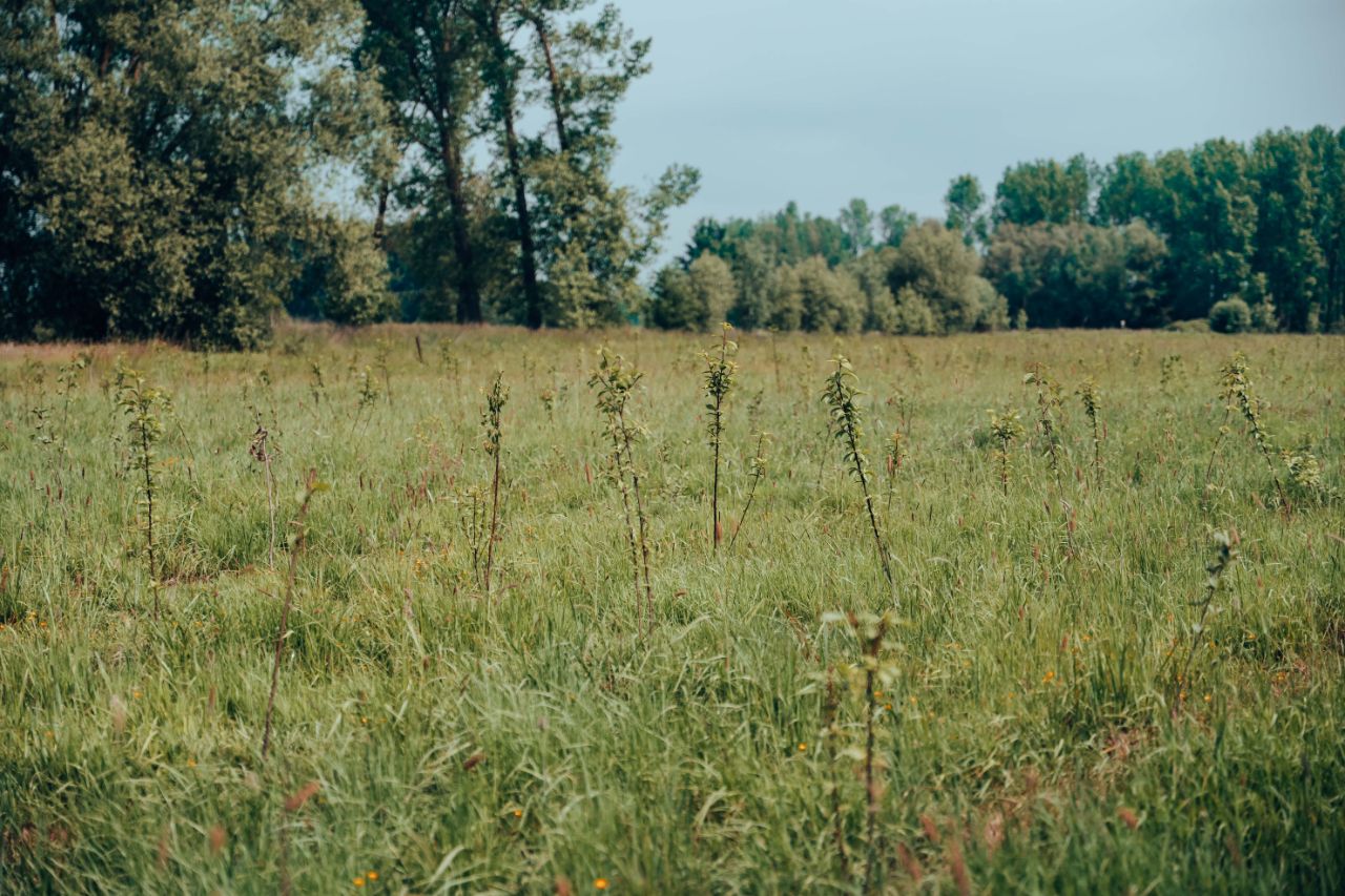 Natuur als preventie