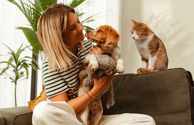 gezondheid dieren
