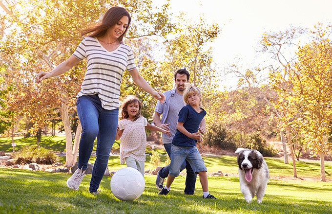 persoonlijke ongevallenverzekering