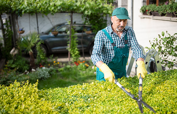 assurance jardinier